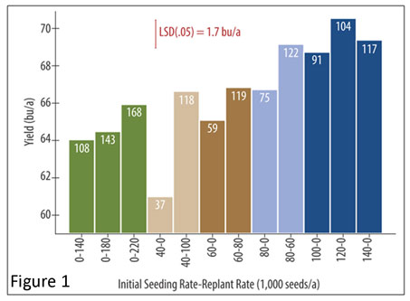 soybean-replant-chart.jpg